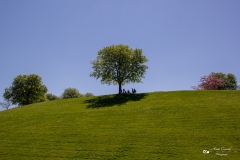 IMG_8638