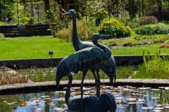 IMG_8650