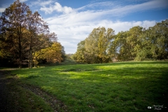 NZ7_5332