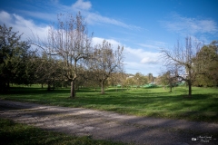 NZ7_5340