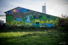 NZ7_5392
