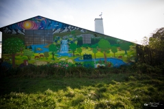 NZ7_5397