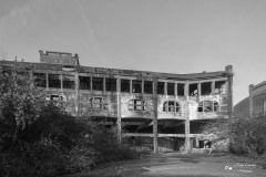 IMG_3696