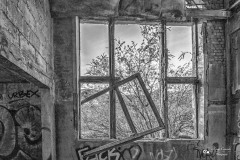 IMG_3715-Bearbeitet