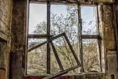IMG_3716-Bearbeitet
