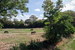 DJI_0042