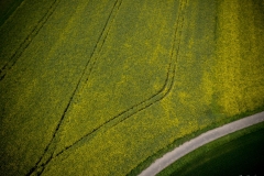 DJI_0315