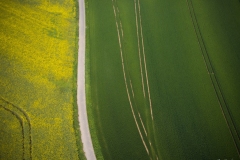 DJI_0317