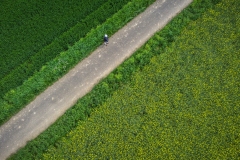 DJI_0325