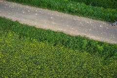 DJI_0330