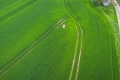 DJI_0333