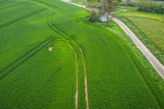 DJI_0337