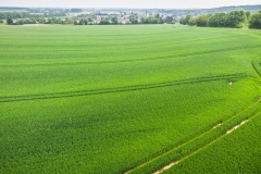 DJI_0348