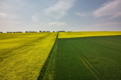 DJI_0356
