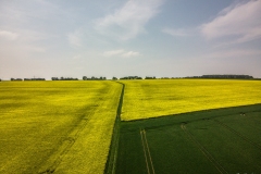 DJI_0358