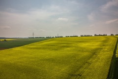 DJI_0359