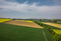 DJI_0365
