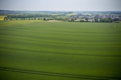 DJI_0305