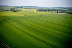 DJI_0306
