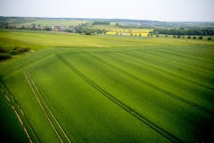 DJI_0307