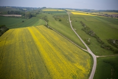 DJI_0310