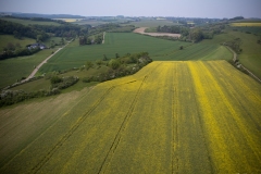 DJI_0311