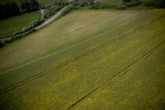DJI_0313