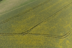 DJI_0314