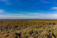 DJI_0528