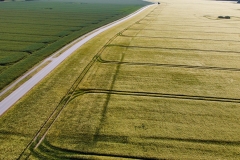 dji_fly_20230612_085850_591_1686553288701_photo_optimized