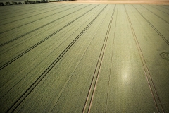 dji_fly_20230612_085902_596_1686553281328_photo_optimized
