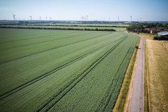 dji_fly_20230617_092122_655_1686986800442_photo_optimized