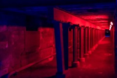 IMG_7726