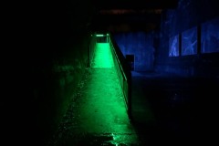 IMG_7748