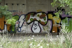 IGP1515