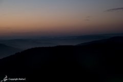IMG_2535