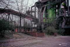 IMG_2711-Bearbeitet-Bearbeitet