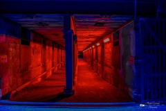 IMG_2761