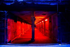 IMG_2763
