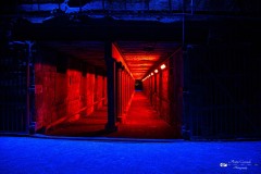 IMG_2764