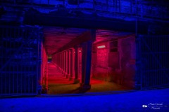 IMG_2765