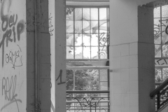 IMG_1877