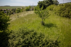DJI_0473