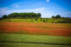 dji_fly_20230528_140446_438_1685275505665_photo_optimized