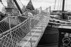NZ7_4829