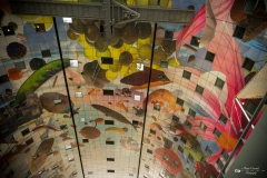 NZ7_4547