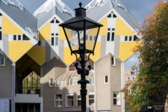 NZ7_4698