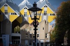 NZ7_4699
