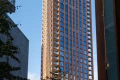 NZ7_4793