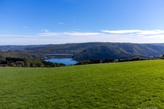 DJI_0437